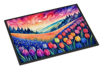 NEW Hyacinths in Color Doormat Front Door Mat Indoor Outdoor Rugs for Entryway, Non Slip Washable Low Pile, 18H X 27W