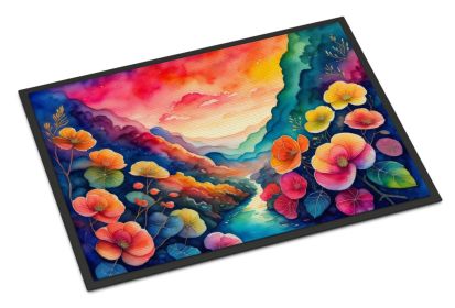 NEW Begonias in Color Doormat Front Door Mat Indoor Outdoor Rugs for Entryway, Non Slip Washable Low Pile, 18H X 27W