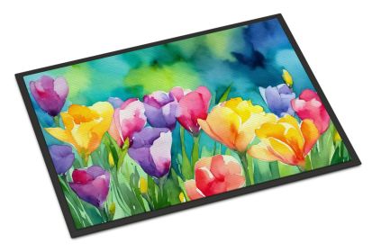 NEW Freesias in Watercolor Doormat Front Door Mat Indoor Outdoor Rugs for Entryway, Non Slip Washable Low Pile, 18H X 27W