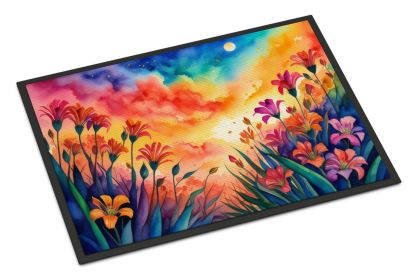 NEW Alstroemerias in Color Doormat Front Door Mat Indoor Outdoor Rugs for Entryway, Non Slip Washable Low Pile, 18H X 27W