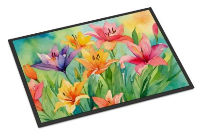 NEW Lilies in Watercolor Doormat Front Door Mat Indoor Outdoor Rugs for Entryway, Non Slip Washable Low Pile, 18H X 27W (Default: Default)